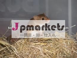 車用害虫リペラー問屋・仕入れ・卸・卸売り