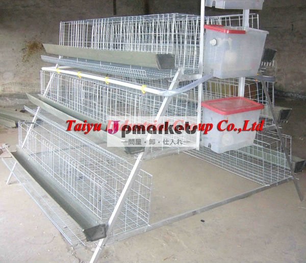 Taiyu- 5高いぞ知る家禽ケージ( ナイジェリア/ラゴスオフィス、 で鳥のための販売)問屋・仕入れ・卸・卸売り