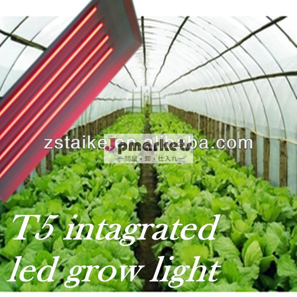 成長している光を育てる野菜用統合されたledライト1.2メートルt50.6m0.9メートル1.3m1500k赤い色問屋・仕入れ・卸・卸売り