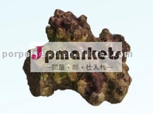 水槽サンゴ石問屋・仕入れ・卸・卸売り