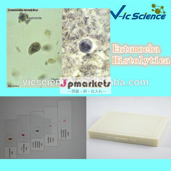 混合parasitology生物学準備顕微鏡のスライドセット問屋・仕入れ・卸・卸売り