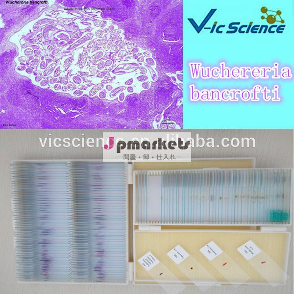 ラボ電源のガラスparasitology準備顕微鏡のスライドセット問屋・仕入れ・卸・卸売り