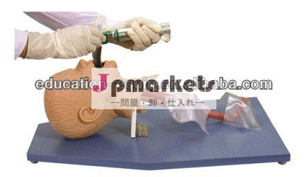 子se35163医療気管挿管訓練モデル問屋・仕入れ・卸・卸売り