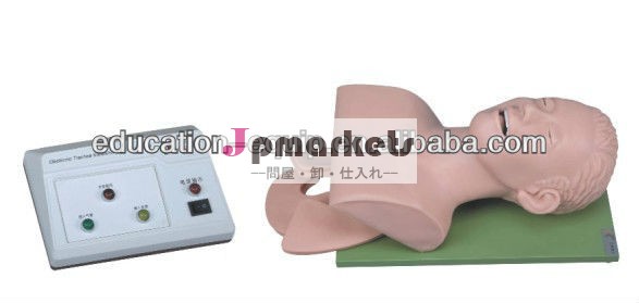 電子医療se35162気管挿管訓練モデル問屋・仕入れ・卸・卸売り