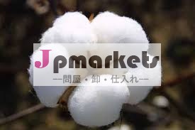 インドの綿花問屋・仕入れ・卸・卸売り