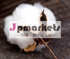 インドの綿花の( シャンカール- 6)問屋・仕入れ・卸・卸売り
