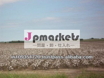 綿花のs-6問屋・仕入れ・卸・卸売り