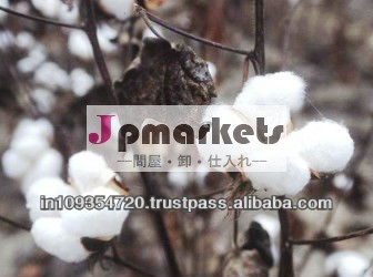 綿花の問屋・仕入れ・卸・卸売り
