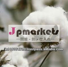 綿花の問屋・仕入れ・卸・卸売り
