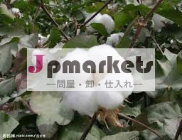 インドの白い生綿問屋・仕入れ・卸・卸売り