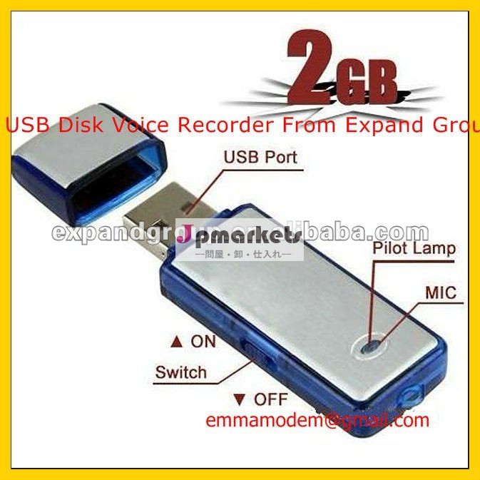 2GB USBディスクボイスレコーダ、可聴周波Reocrderの隠されたボイスレコーダ問屋・仕入れ・卸・卸売り