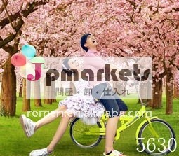 デジタル印刷された背景写真スタジオ/コンピュータは、 背景を描いた問屋・仕入れ・卸・卸売り