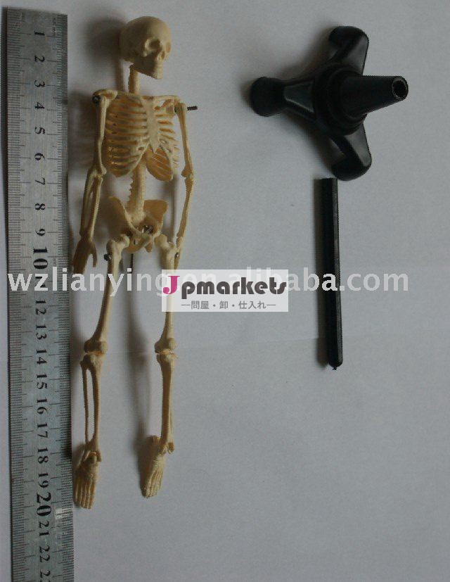 人間のスケルトンモデル20cm/スケルトンモデル問屋・仕入れ・卸・卸売り