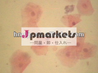 生物学的準備顕微鏡スライド、 口腔粘膜細胞w。 m。、 小学生のために問屋・仕入れ・卸・卸売り