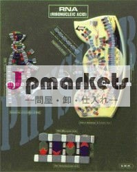 モデルのr。 n。、。問屋・仕入れ・卸・卸売り