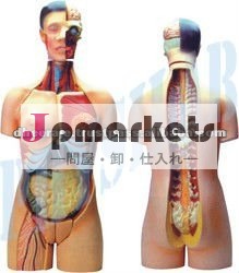 互換性あると胴体の生殖器- 24部品問屋・仕入れ・卸・卸売り