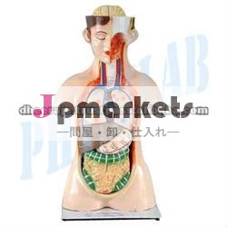 人間トルソー問屋・仕入れ・卸・卸売り