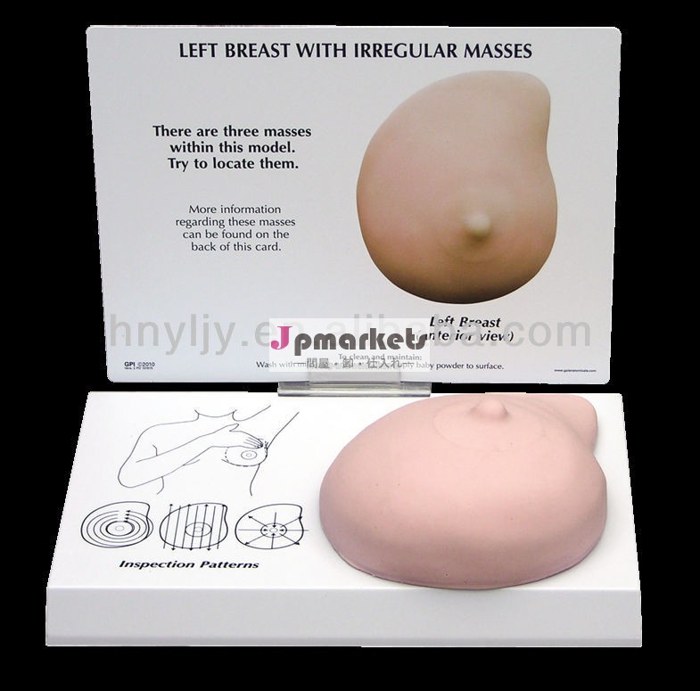 人間の胸のモデル試験用/ヒト乳癌セルフ- 試験#3401モデル問屋・仕入れ・卸・卸売り