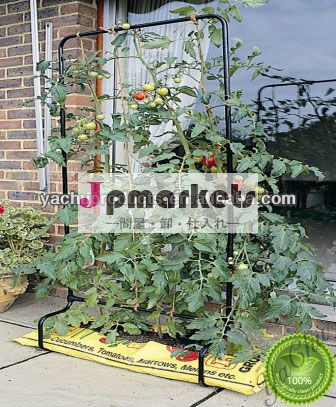 庭の植物の袋の袋の果物し成長を感じた問屋・仕入れ・卸・卸売り