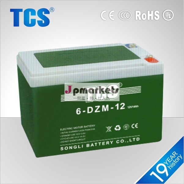 Tcs熱い販売電動バイク6-dzm-206-dzm-106-dzm-12バッテリー問屋・仕入れ・卸・卸売り