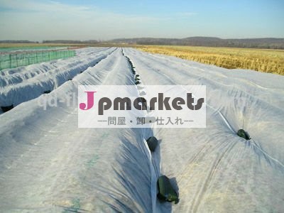 エコ- フレンドリーな農業不織布ファブリックのグランドカバー雑草防除問屋・仕入れ・卸・卸売り
