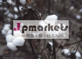 bt綿の歴史問屋・仕入れ・卸・卸売り