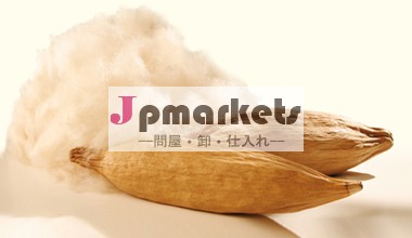 カポック綿カポック繊維エイリアス問屋・仕入れ・卸・卸売り