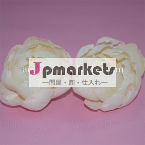 ソラフラワーアロマディフュ空気清浄用問屋・仕入れ・卸・卸売り