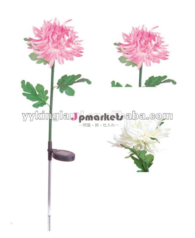 Kinglandの太陽花はつく問屋・仕入れ・卸・卸売り