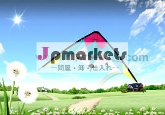 デュアルラインデルタ凧- ストレートエッジスタント凧問屋・仕入れ・卸・卸売り