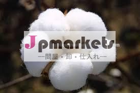 インドの綿花の最高の品質問屋・仕入れ・卸・卸売り