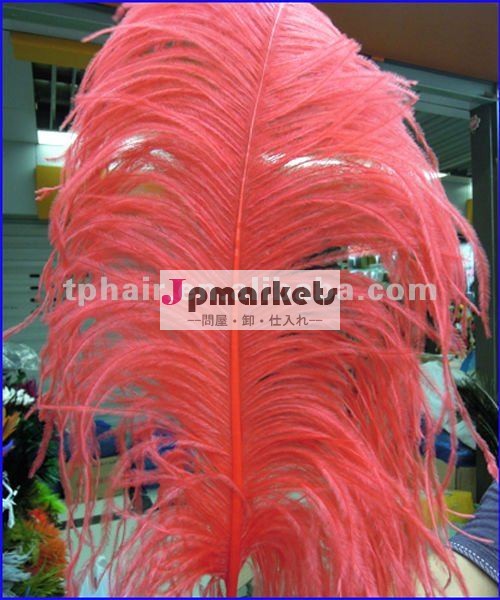 2011 Decoration&Hair延長のための実質のだちょうの羽問屋・仕入れ・卸・卸売り