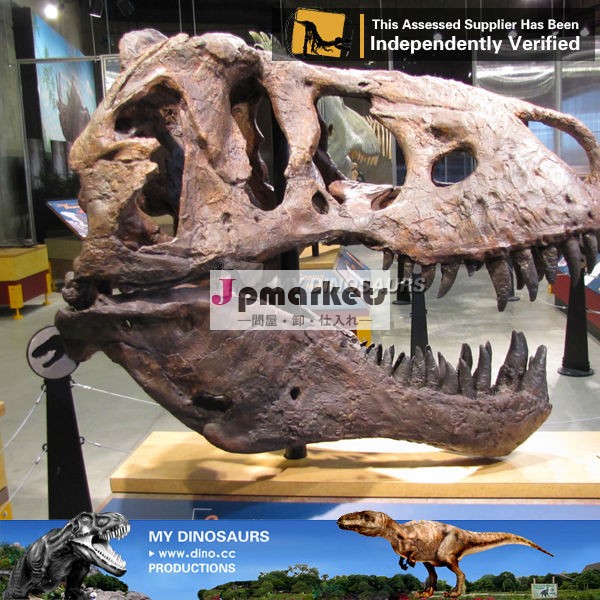 創造的な新しい人気のある恐竜の骨格の展示問屋・仕入れ・卸・卸売り