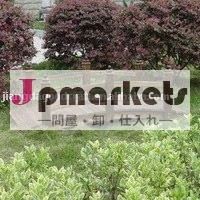 木橋問屋・仕入れ・卸・卸売り