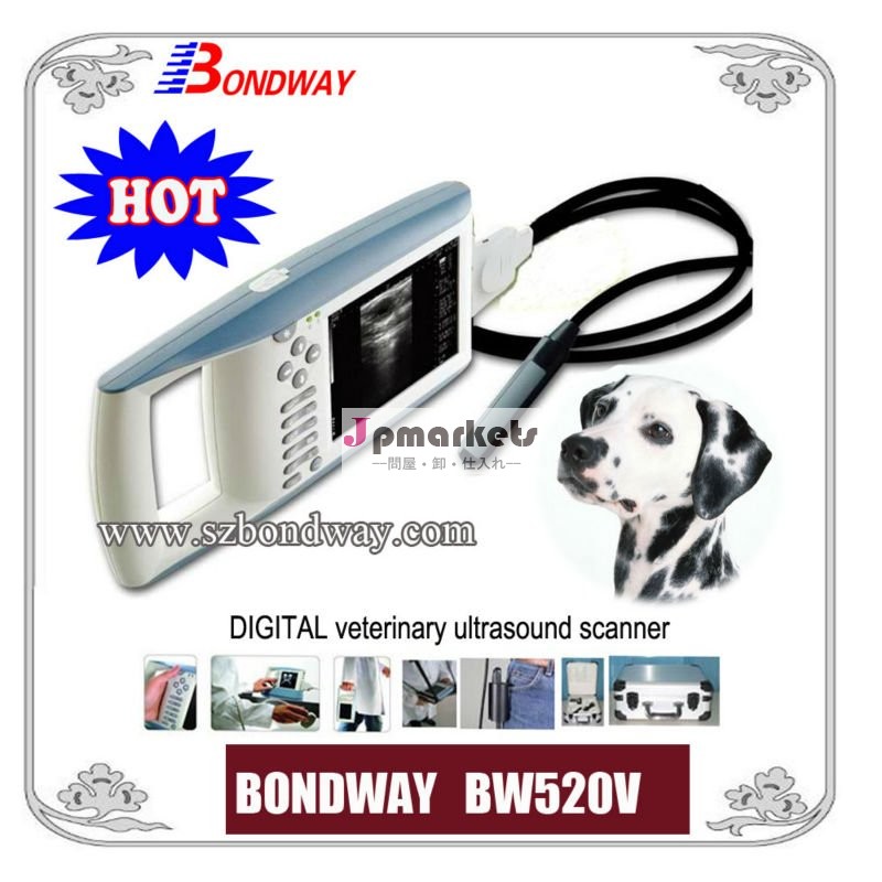 獣医超音波機器( bw520v)、 イメージングのための猫のペットは、、 犬の、 ウサギ問屋・仕入れ・卸・卸売り