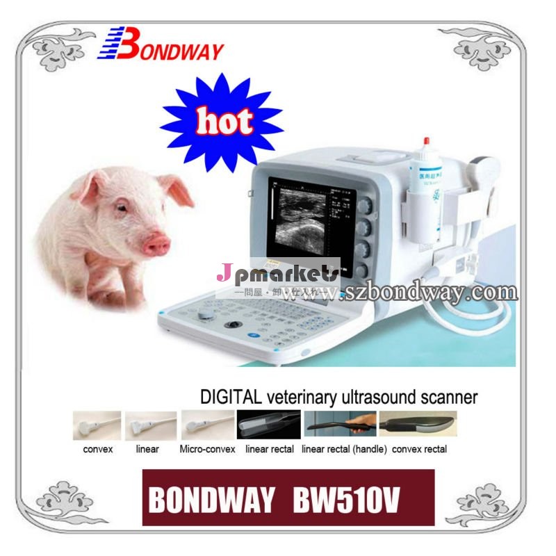 超音波スキャナ豚( bw510v) 背、 再現、 上でのイメージングウマパン粉、 ウシ、 豚、 イヌ、 ペット、 反芻、 獣医使用問屋・仕入れ・卸・卸売り