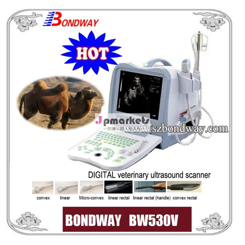 デジタル獣医超音波スキャナ( bw530v)- 獣医超音波イメージングのためのウマ、 豚、 ウシ、 羊、 ヤギの、 ペット、 usbポート問屋・仕入れ・卸・卸売り