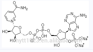 Nadp- 2na( triphosphopyridineヌクレオチド二ナトリウム塩)、 cas。 24292-60-2問屋・仕入れ・卸・卸売り