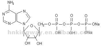 2na- アデノシン- 5'- 三リン酸( atp) cas987-65-5; 51963-61-2問屋・仕入れ・卸・卸売り