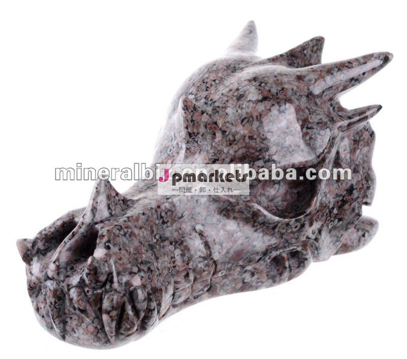 6.3" 自然なスカル彫り#3r21ドラゴンウミユリの化石問屋・仕入れ・卸・卸売り