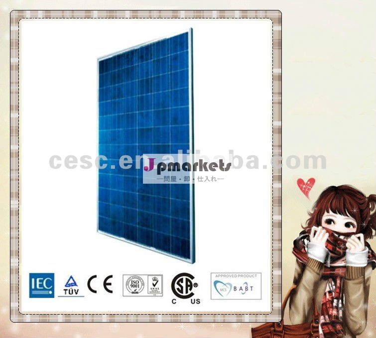 多結晶性太陽電池パネル250W問屋・仕入れ・卸・卸売り