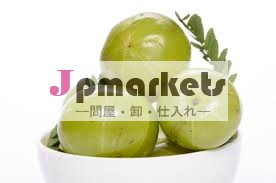 石油天然アムラ問屋・仕入れ・卸・卸売り