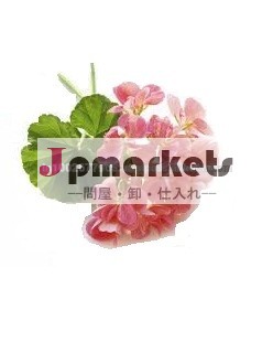 純粋な天然・ゼラニウム油の供給者問屋・仕入れ・卸・卸売り