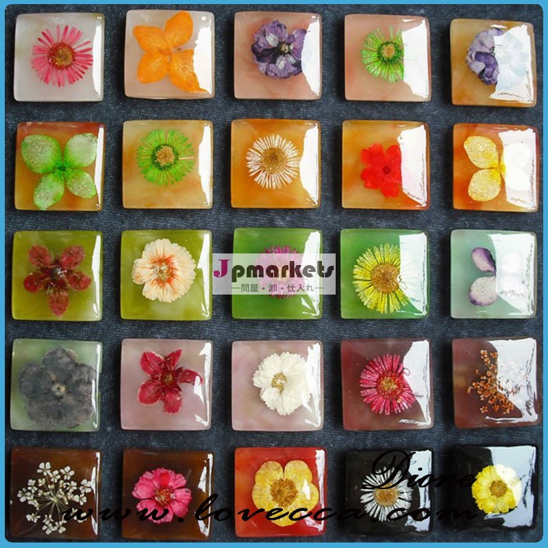 最新のoemodm2013ドライフラワー樹脂メーカー乾燥押し花問屋・仕入れ・卸・卸売り