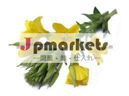 月見草油医薬品グレード問屋・仕入れ・卸・卸売り