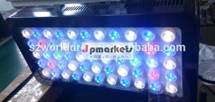 日当たりの良いインテリジェント曇りrainnyaquriumのledが点灯問屋・仕入れ・卸・卸売り
