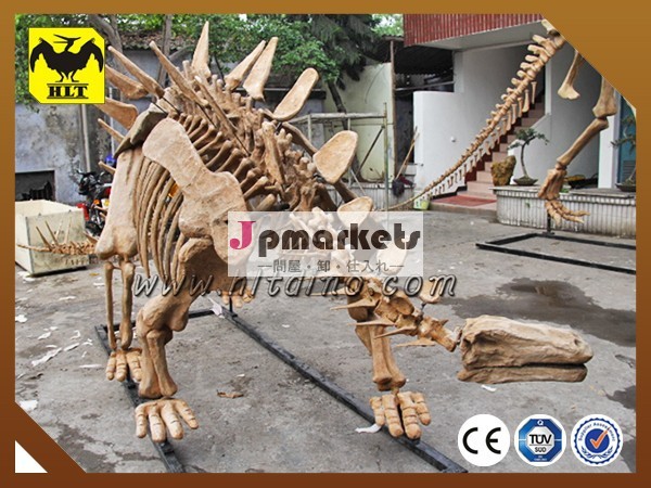 恐竜の骨格から製造hlt自貢恐竜の骨格問屋・仕入れ・卸・卸売り