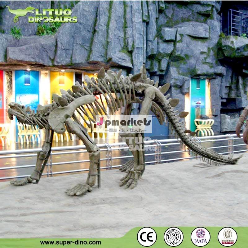 命- サイズステゴサウルスの恐竜化石販売問屋・仕入れ・卸・卸売り