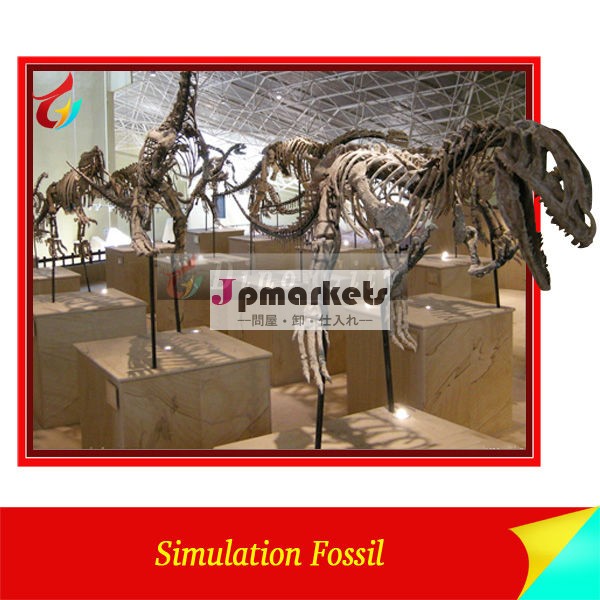 プロフェッショナル博物館の展示恐竜スケルトン/化石問屋・仕入れ・卸・卸売り