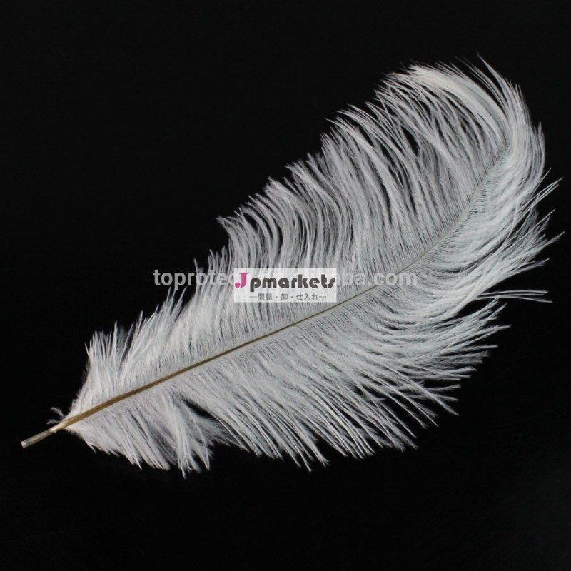 天然12"- 14" 白いダチョウの羽のウェディングパーティーのデコレーション、 hcg190問屋・仕入れ・卸・卸売り